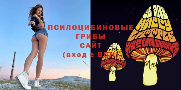 2c-b Лихославль