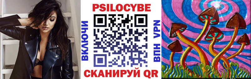 Галлюциногенные грибы Psilocybe  Купить  Нижнекамск 