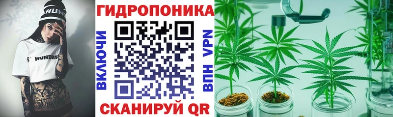 Шишки марихуана тримм  Купить закладки  Нижнекамск 